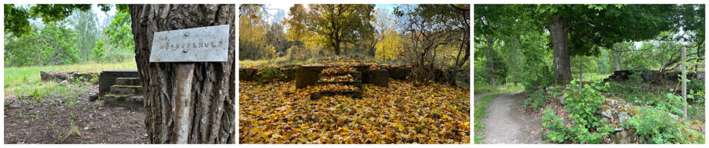 Husgrund efter torpet Högmosshult, 3 bilder, sommar höst och på längre avstånd mot byn till.